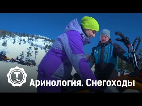 Аринология. Снегоходы