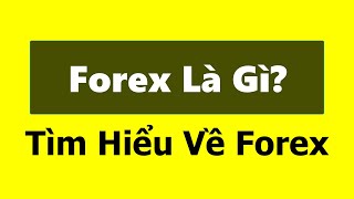 Forex | Forex là gì? Tìm hiểu về thị trường ngoại hối (forex) - Forex có lừa đảo không? Có nên chơi?