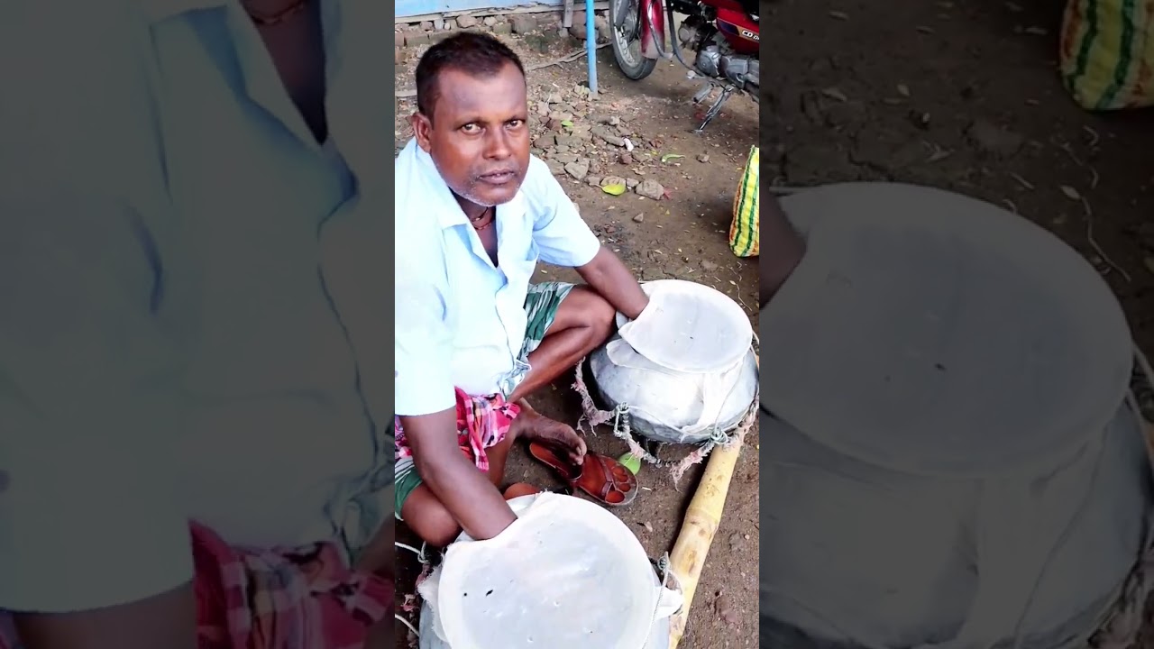 Fishermen with Blackcarp Fishfingerlings 