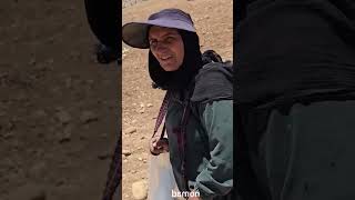 Homeless Mother Lives Alone in the Mountains, Selling Firewood to Build Her Dream Home