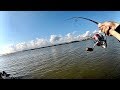 人生2匹目のシーバスがデカすぎてビビるシーバス初心者［English subs］Seabass beginner river fishing