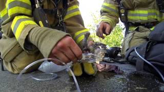 Gopro Fireman Saves Kitten Melting Hearts Remix