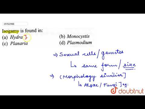 Video: Watter van die volgende is 'n voorbeeld van isogamie?