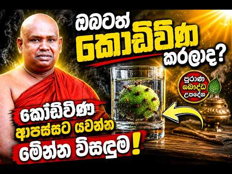ඔබටත් කොඩිවිණ කරලද? 😱 කොඩිවිණ ආපස්සට යවන බලගතුම විසඳුම මෙන්න | ගම්බාරේ
