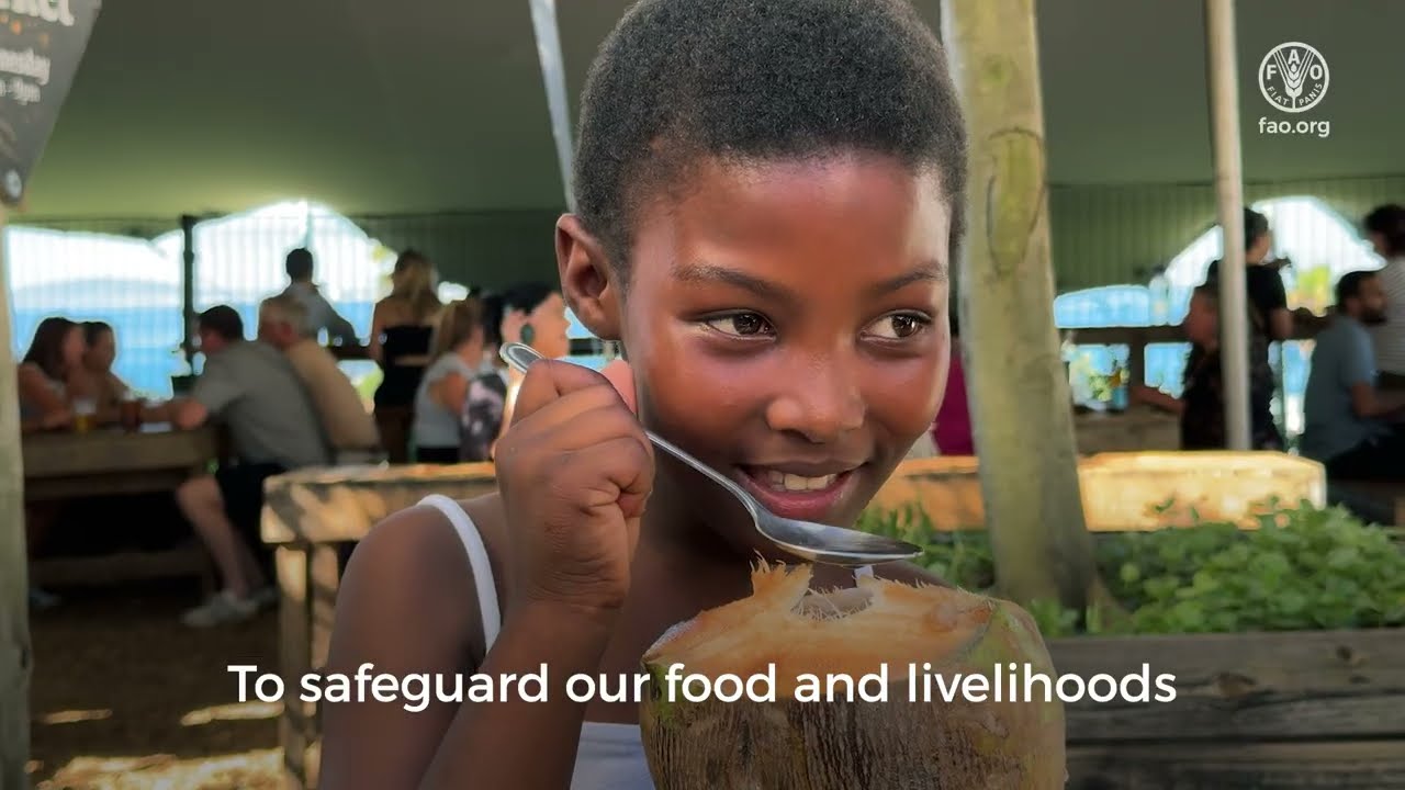 International Day of Forests 2025: Forests and foods - nurture the forest to nourish the people