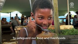 International Day of Forests 2025: Forests and foods - nurture the forest to nourish the people