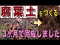 【初心者でもできる】最短！簡単！腐葉土の作り方！【3ヶ月で完成しました】家庭菜園！