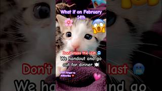 What If On February 14Th シ