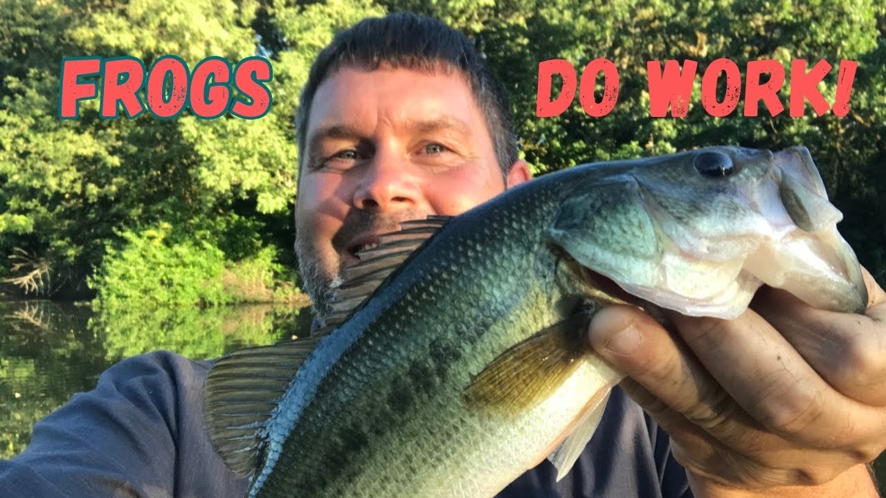 Is The Topwater Bass Bite On In Oregon Yet?  #bassfishing #frog #topwater