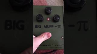 Big Knob Green Russian clone