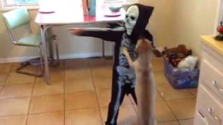 Breakdancing Skeleton