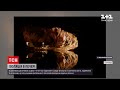 Новини світу: у Франції добровольці заради експерименту 40 днів сиділи у печері без світла