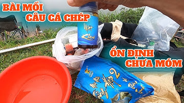 Bài mồi câu cá chép hồ dịch vụ : SHAPHAM + PHÚ THÀNH - Câu Cá