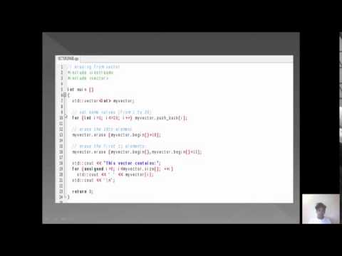 vector object erase;