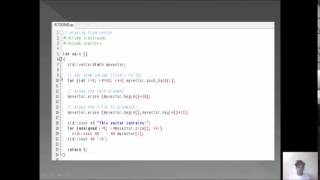 vector object erase;