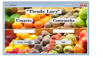 Inicio De Sesión y Facturación En Visual Basic (Tutorial)