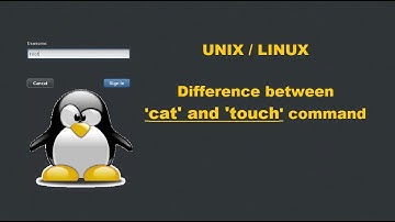 Difference between cat and touch | Linux | File and directory management