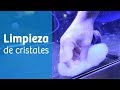 Cómo limpiar cristales 🌟 [ Mantenimiento del acuario ]