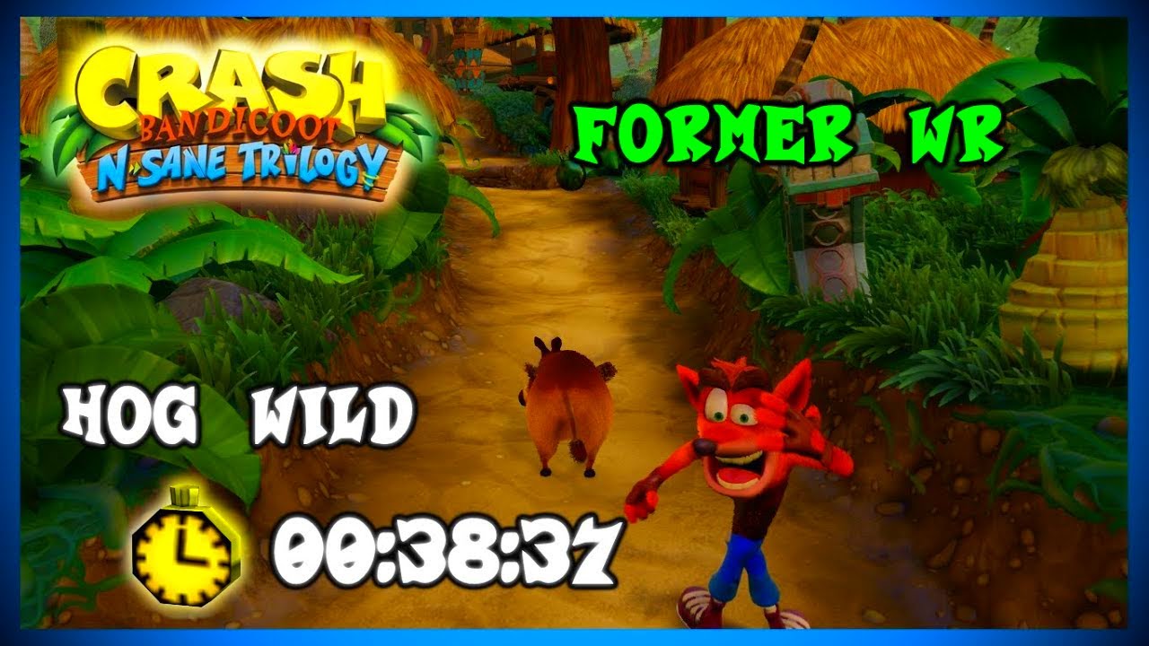 Hog Wild 003837 (Former World Record) Crash Bandicoot N. Sane