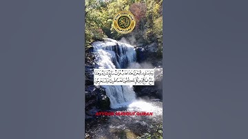 سورة فاطر الآية 12 تلاوة الشيخ محمد أيوب