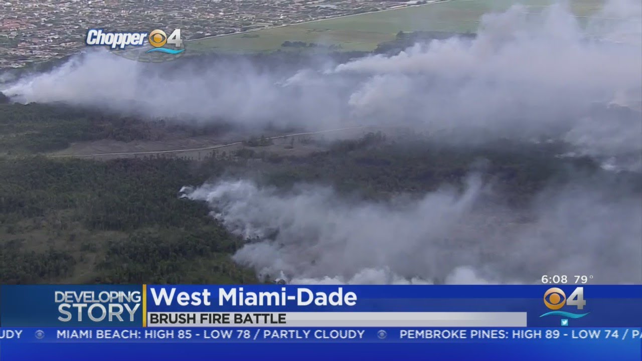 Brush Fire Prompts Closure Of Krome Avenue - YouTube