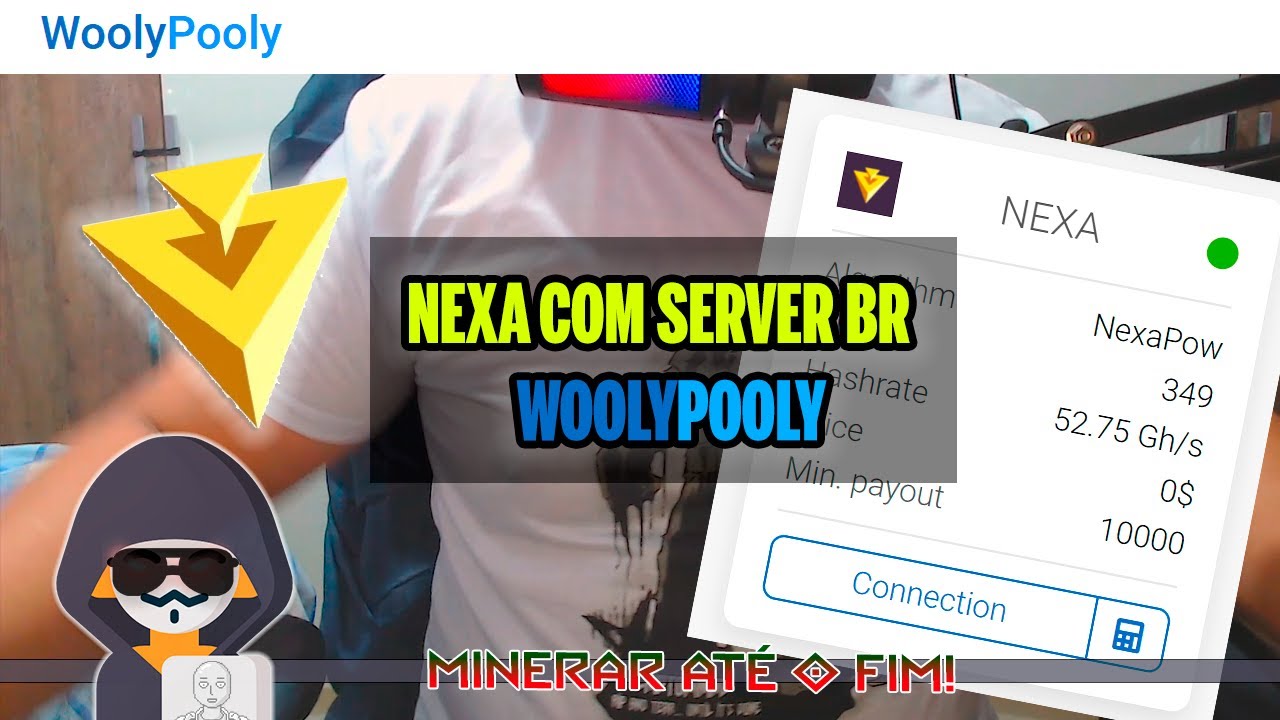 NEXA COM SERVER BR PARA MINERA O WOOLYPOOLY PING BAIXO 
