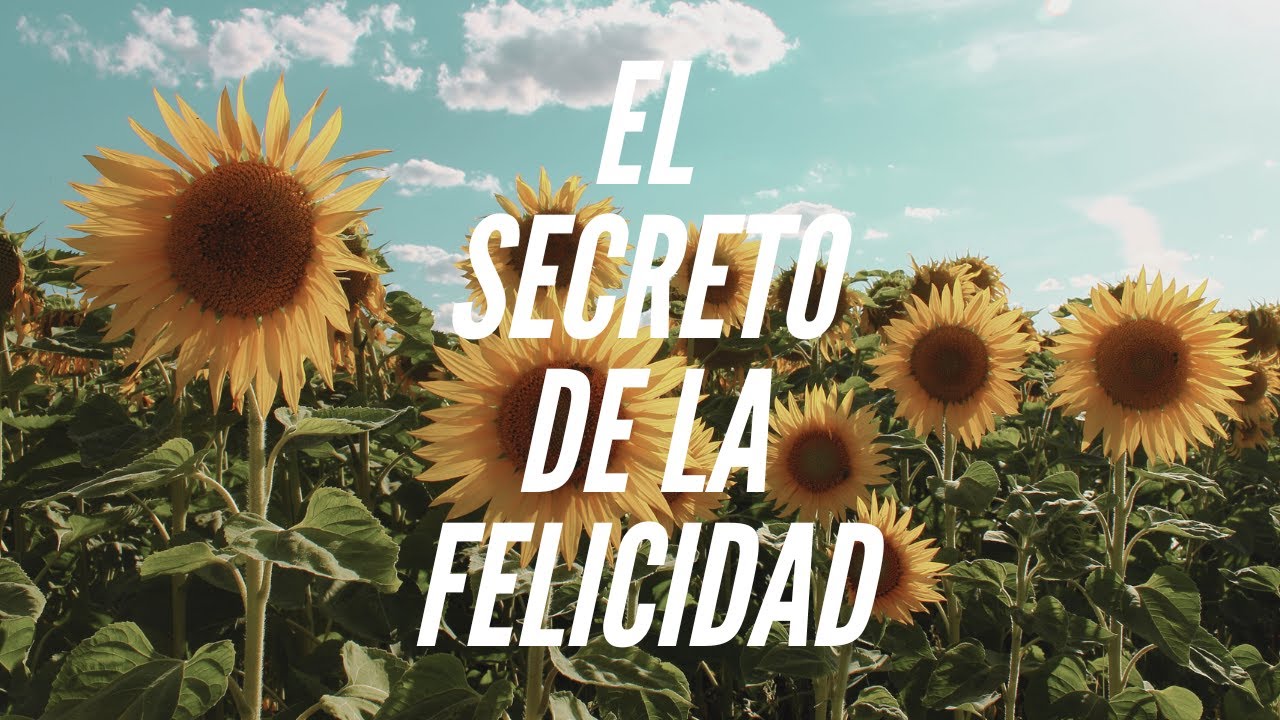 El secreto de la felicidad - YouTube