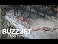 バズジェット･トラウトモデル