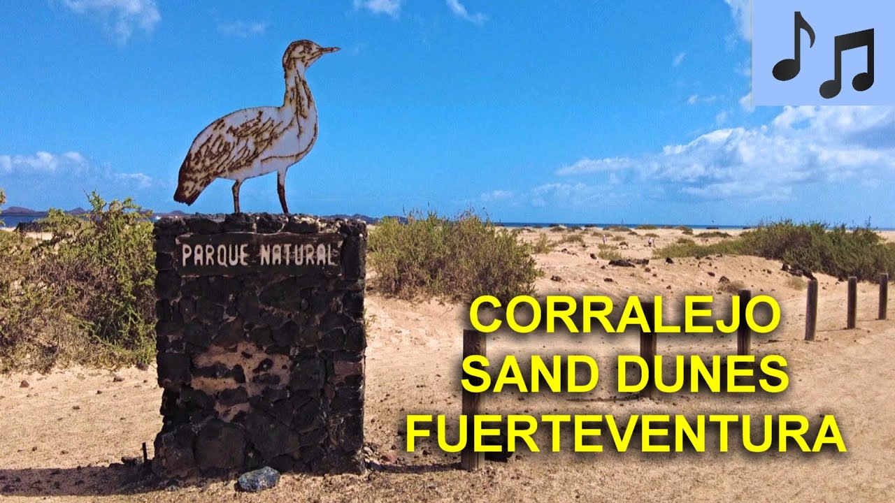 CORRALEJO SAND DUNES FUERTEVENTURA