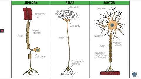 MYP UNIT 6.1 INTERACTION