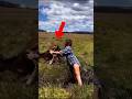 They Gave Up on Life | Animal rescue part 3 #animals #ytshorts #shorts