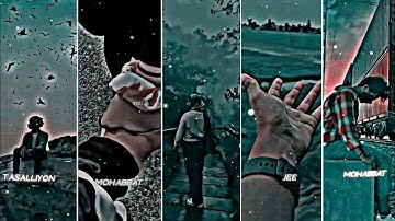 Tumse Mohabbat Hai Haan 🖤🥀 || Black Screen Lyrics 🖤 || #sadstatus #statusboyritam #xml #lofi_status