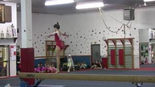 2009 routines