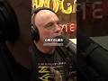 Joe Rogan on Bears