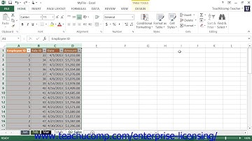 Microsoft Office Excel Tutorial 2013 Worksheet Protection 36.1  Employee Group Training