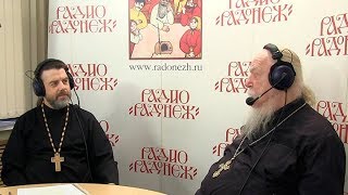 Радио «Радонеж». Протоиерей Димитрий Смирнов. Видеозапись прямого эфира от 2018.11.24