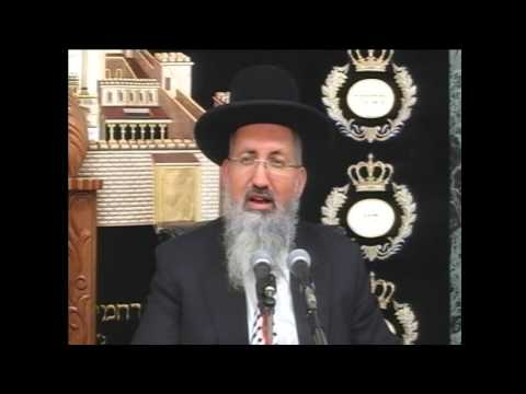 פרשת  מצורע תשע"ו - מרן הרב יצחק יוסף שליט"א