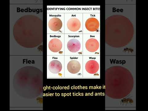 Video Bites & Stings in the Garden: What Gardeners Need to Know
