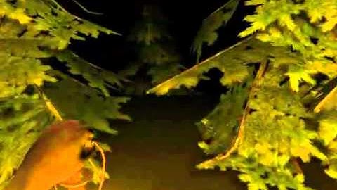 Amnesia Custom Stories | Kept in Nightmare Part 2 - xPICKLEMONSTER