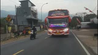 ngoyod bus  alfarizi #busbasuri #teloletbasuri #huntingbus #alfarizi #basuri #cstrans