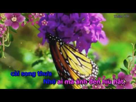 KARAOKE  NOI BUON GAC TRO   Chau Huynh moi Nam beat