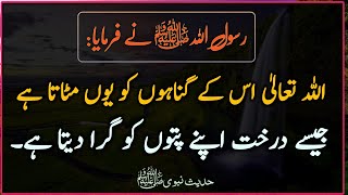 Allah os k gunah ko Mitata he | Hadees Sharif | Hadees e Nabvi | Hadees | Hadith | Hadees in Urdu screenshot 4