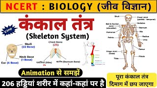 कंकाल तंत्र | Skeleton system | kankal system | Biology | Study vines official