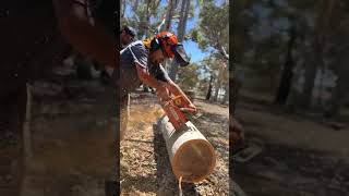 Tazzie Davil Log Lifter. Live this TOOL!!!