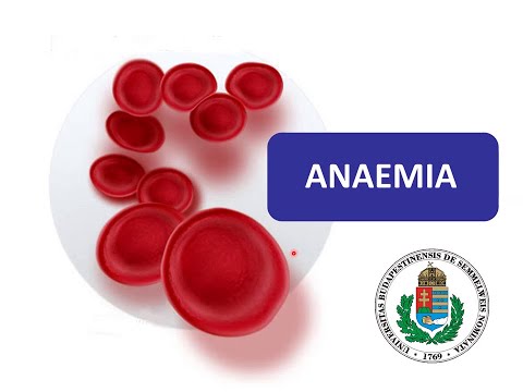 Videó: Hogyan kell kezelni a macrocytás anaemiát