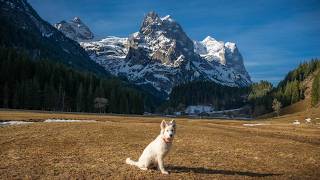 Stunning places to visit in Switzerland - Season's change in Switzerland
