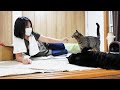 脱衣所の小さな友達!【猫と私の借家生活】