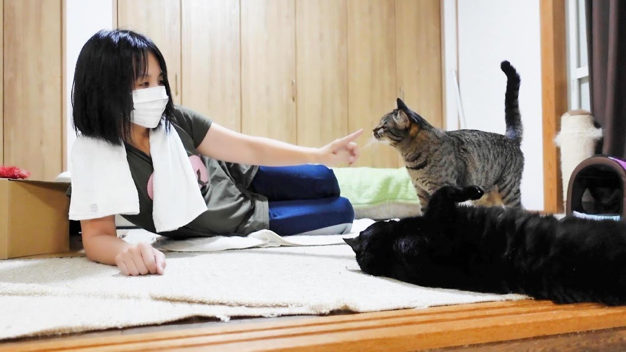 脱衣所の小さな友達！【猫と私の借家生活】