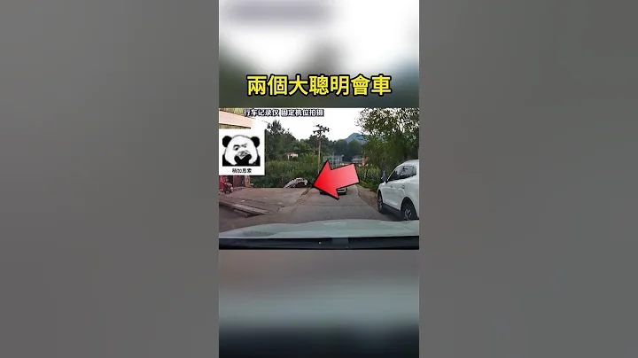 兩個大聰明會車 Two big smarts will drive - 天天要聞