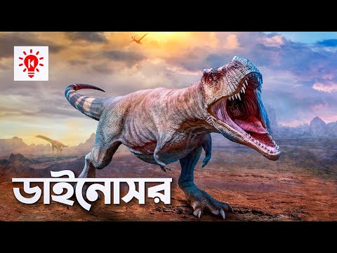 ভিডিও: সৌরোপড নামটি কোথা থেকে এসেছে?